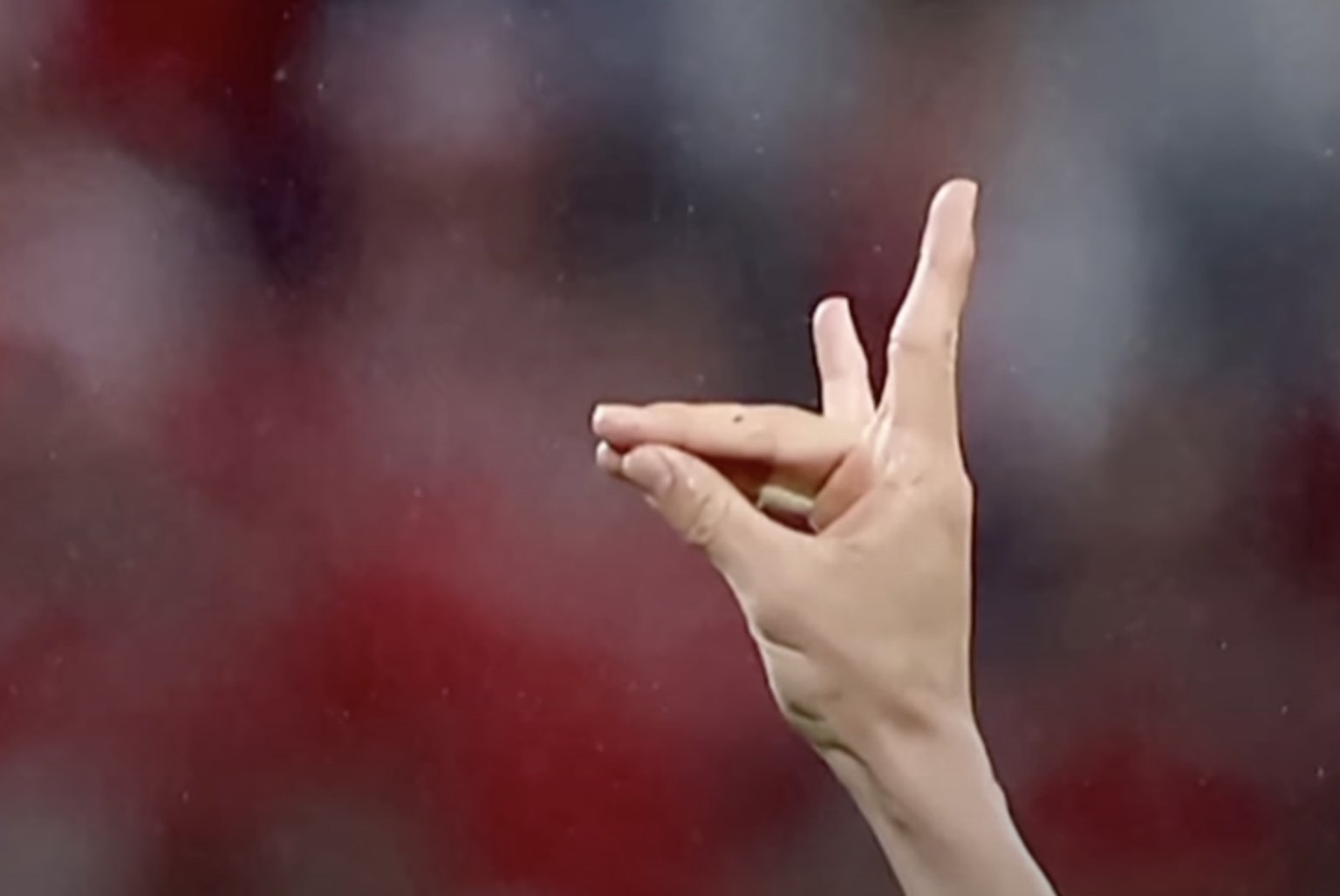 Startseite reitschuster.de